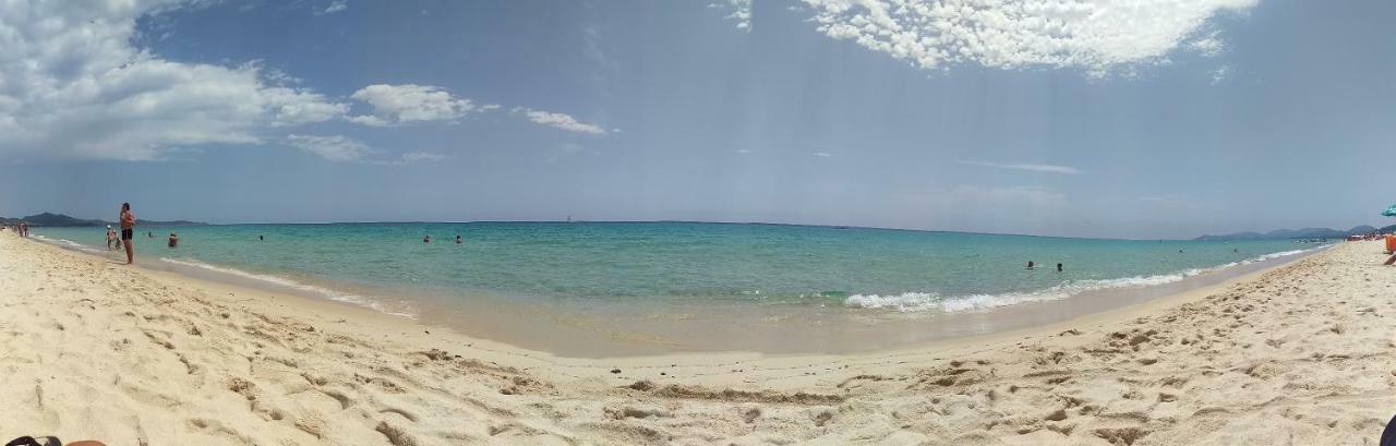 I Limoni Del Sud Sardegna
