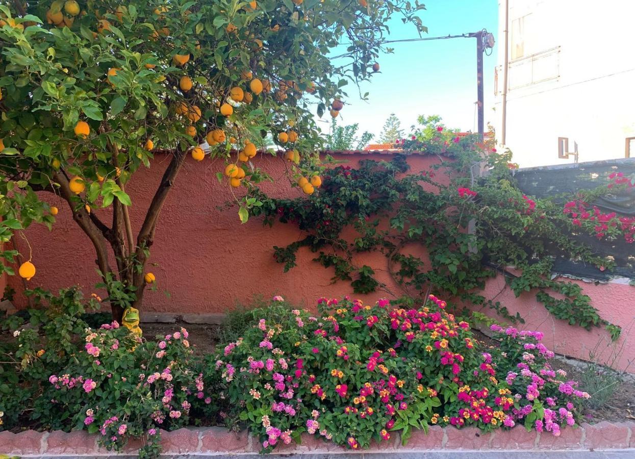 Holiday home I Limoni Del Sud Sardegna