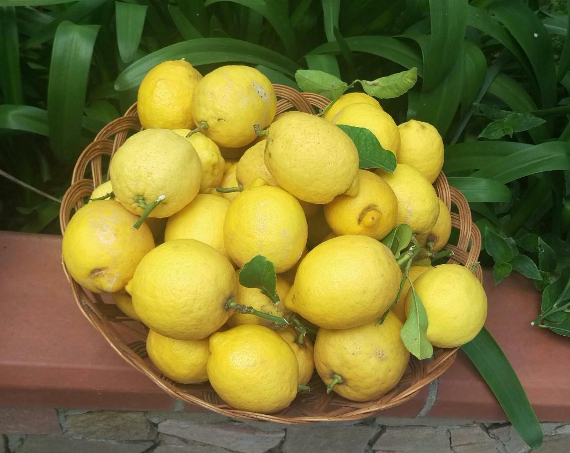 Holiday home I Limoni Del Sud Sardegna *